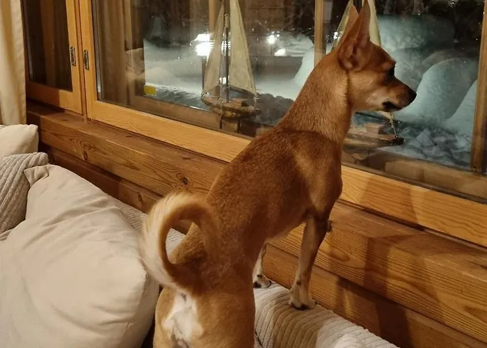 斯图卡度假屋 Pyhtaa